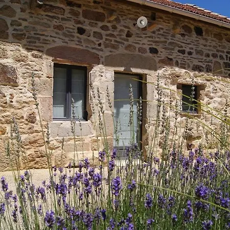 Domaine De La Salesse
